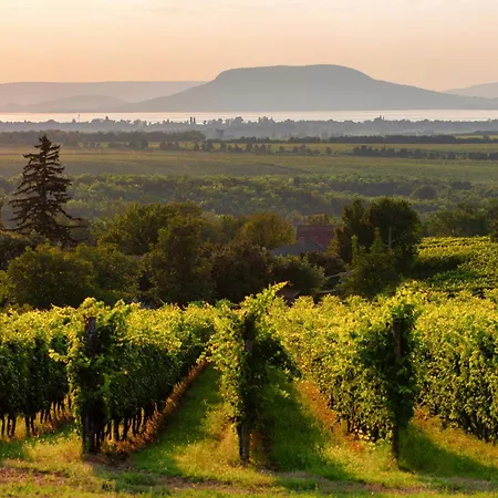 - Balaton 19071 Tatil Evi Balatonlelle